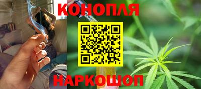 дмт Камышлов