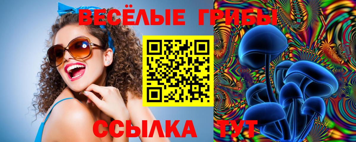Гашиш  Cocaine  Мефедрон   A PVP СОЛЬ кристаллы  Курчатов  Вход с VPN 