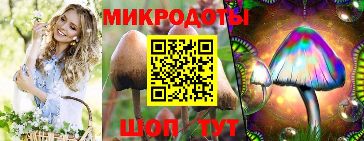 Псилоцибиновые грибы прущие грибы  Псилоцибиновые грибы мицелий  Курчатов  продажа наркотиков  Вход с VPN 