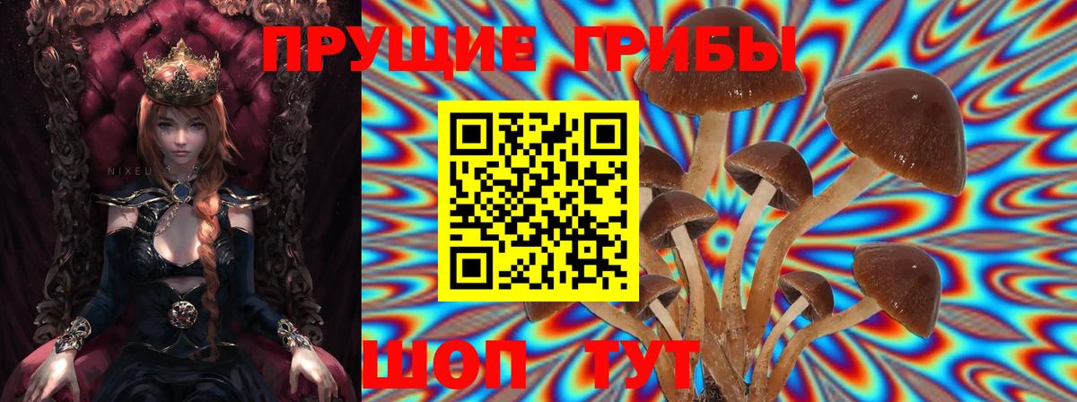 Галлюциногенные грибы мицелий Курчатов