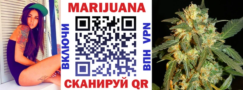 купить наркоту  Курчатов  гидра зеркало  Канабис план 